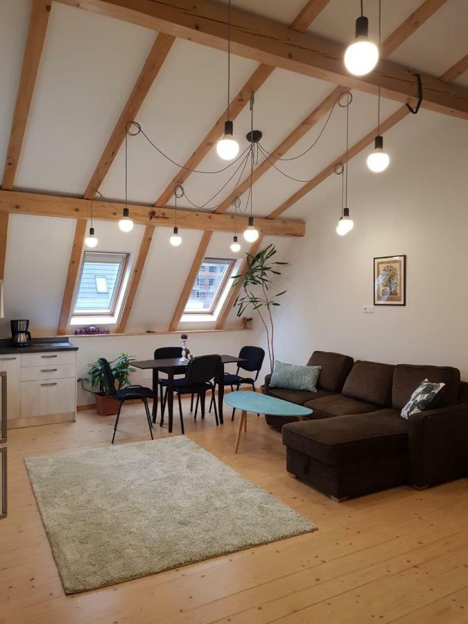 Leisure Apartmens Brasov Leilighet Eksteriør bilde